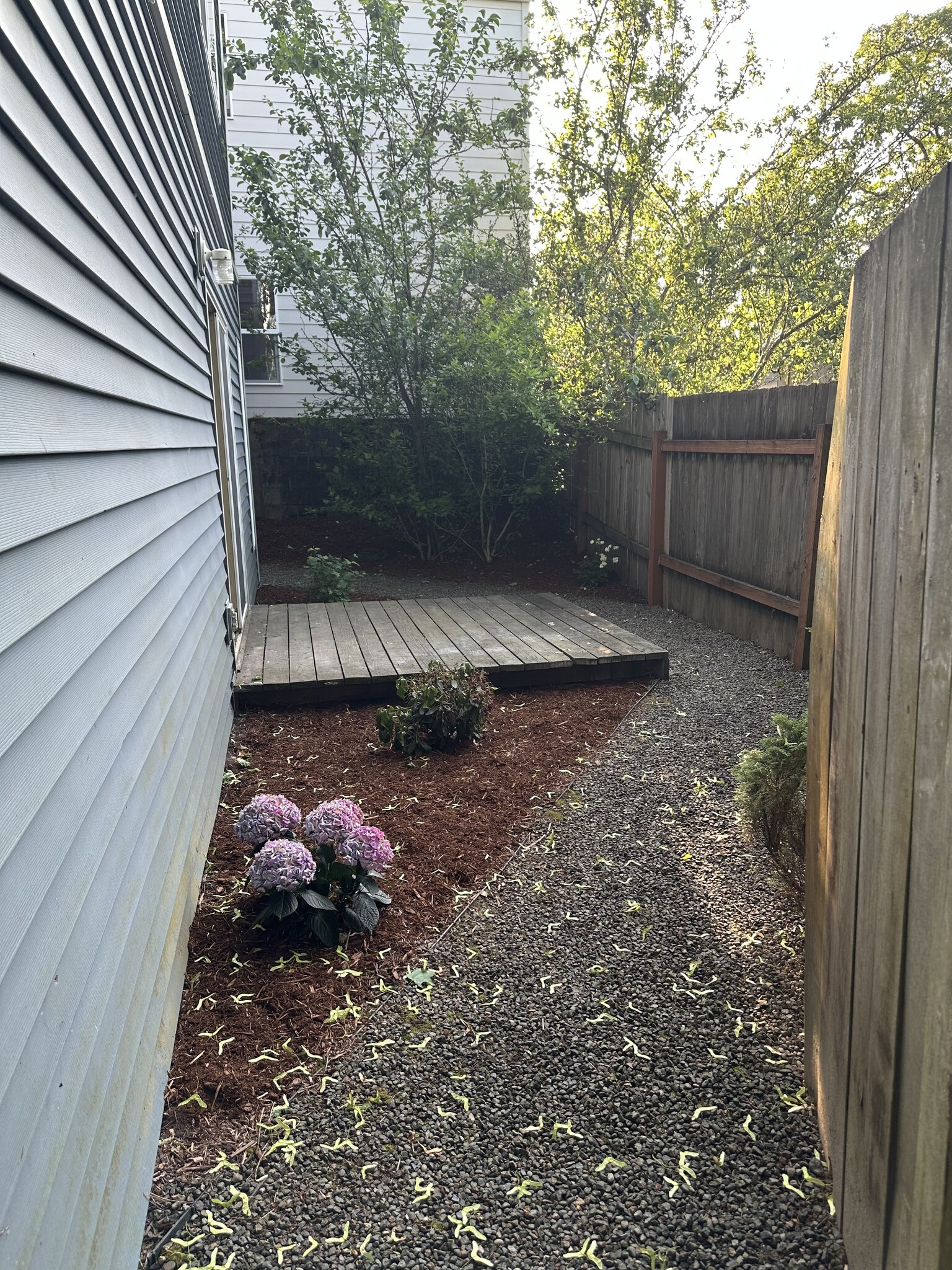 back yard - 1809 SE Harney St
