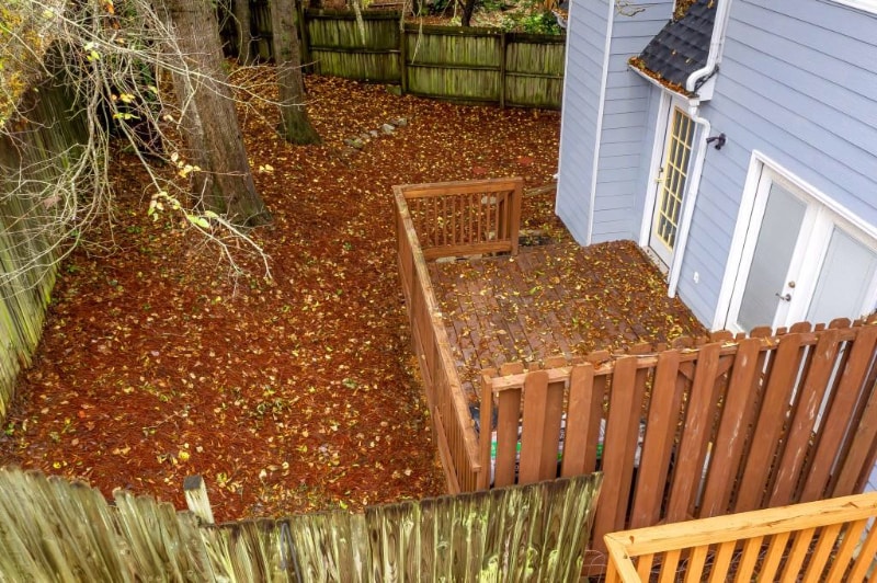 Building Photo - 3036 Regal Park Ct