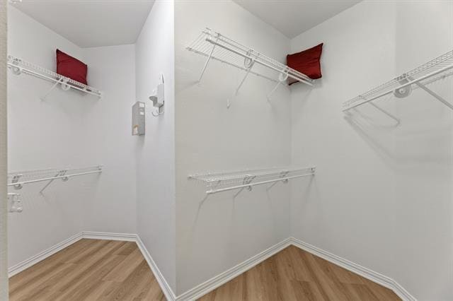 Building Photo - 1451 Cattle Baron Ct