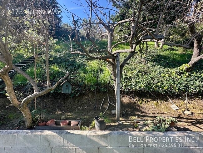 Building Photo - 1173 Pelon Way