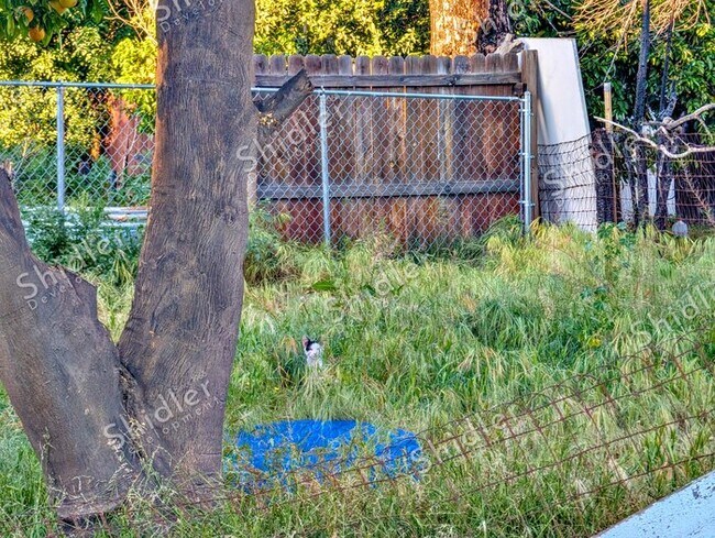 Building Photo - Upgraded Bungalow with Garage