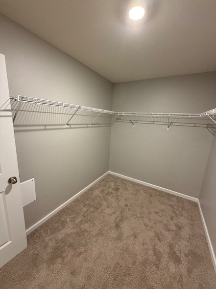 Building Photo - 7214 Griffon Ln