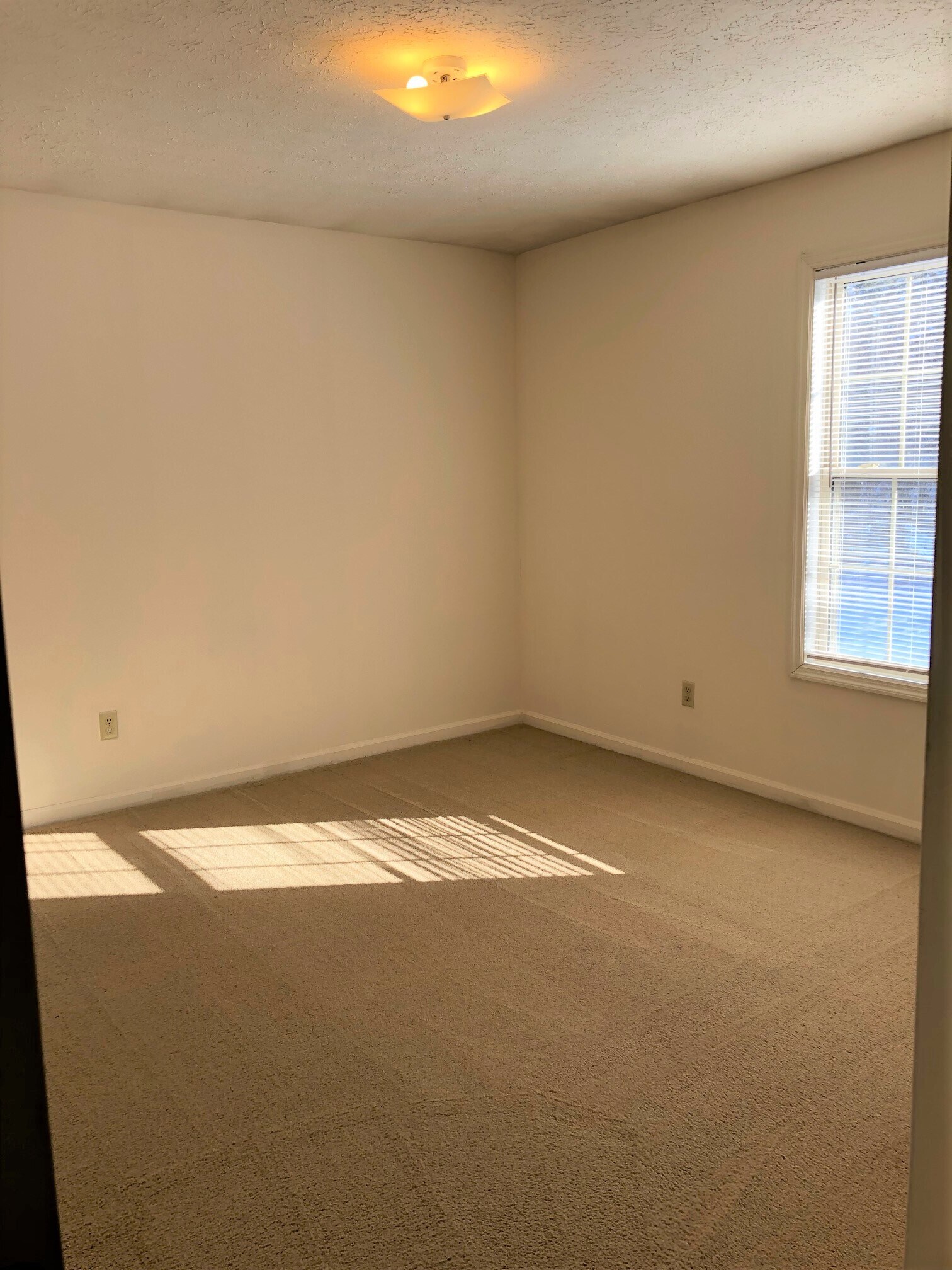 Rear Bedroom - 215 McDaniel Ave