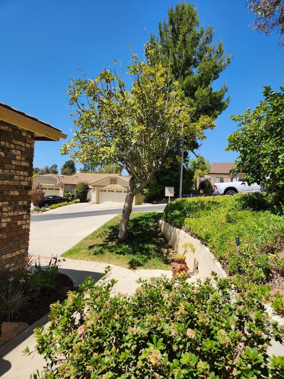 Building Photo - 6802 Chapman Pl