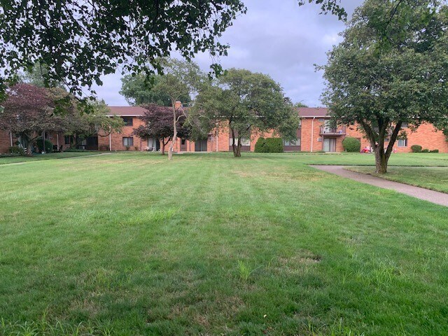 green area - 23855 David Dr