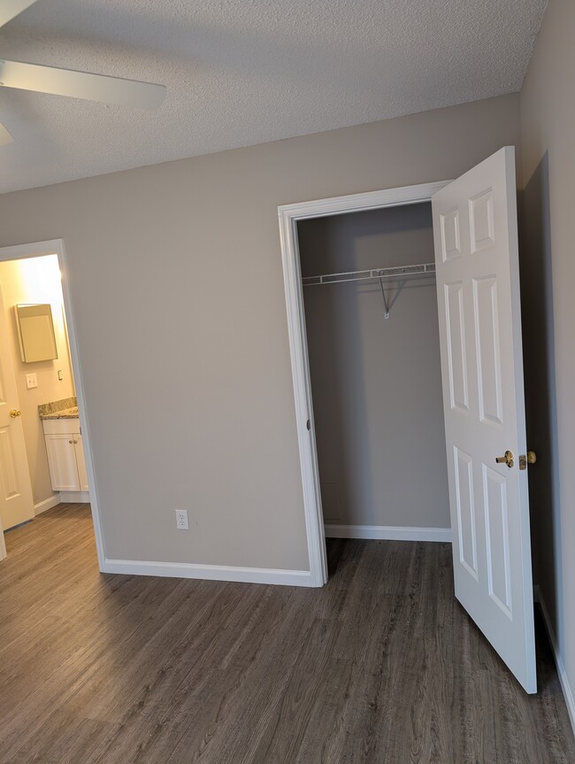 Guest BR closet & door to Guest Bathroom - 1381 Pinnacle Ln