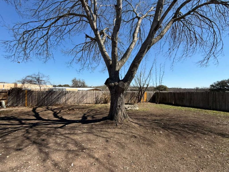 Building Photo - 164 Lost Forest St