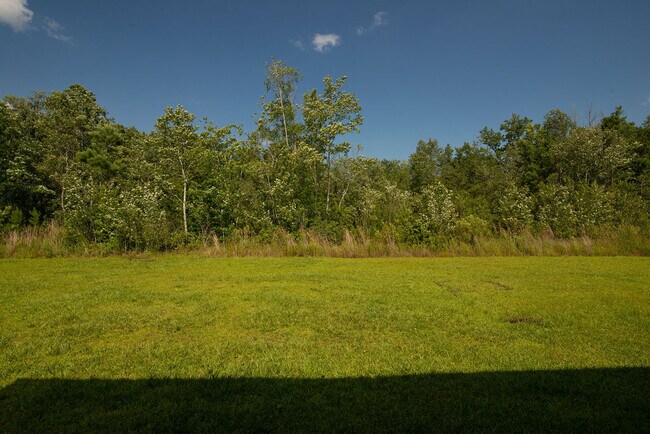 Building Photo - 419 Turp Landing Ln