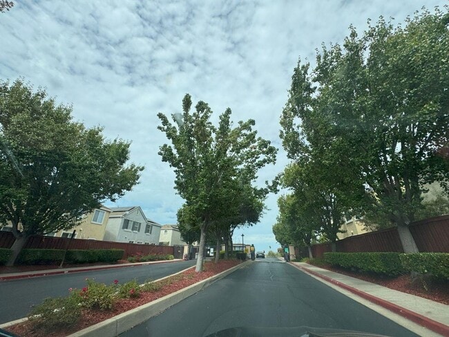 Building Photo - 645 Rockspray Cir