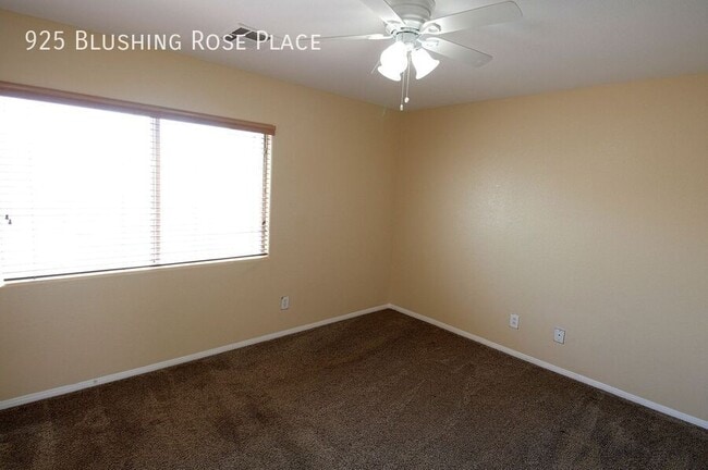 Building Photo - 925 Blushing Rose Pl