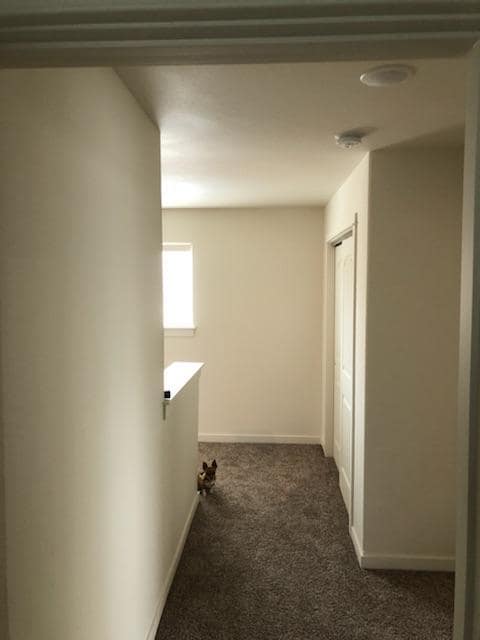 Building Photo - 1005 Clockworks Ln
