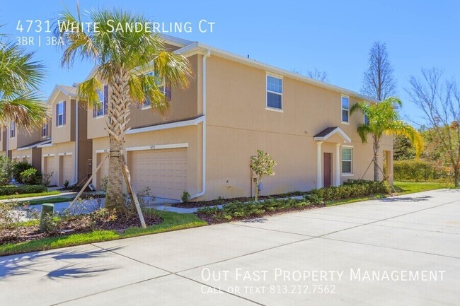 Building Photo - Bright and Modern 3-Bedroom Home in Tampa, FL