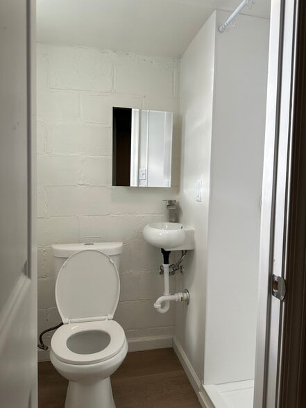 Basement Bathroom. - 3823 Crestlyn Rd