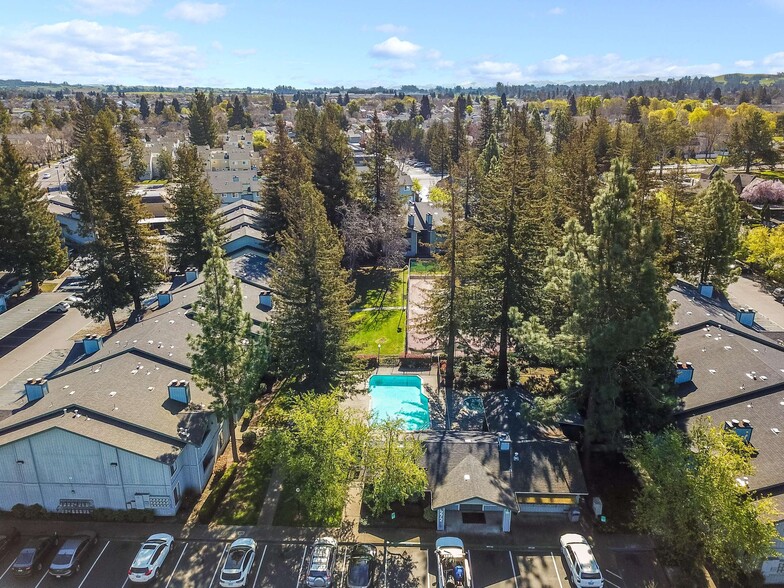 aerial view - Vintage Pointe Apartments