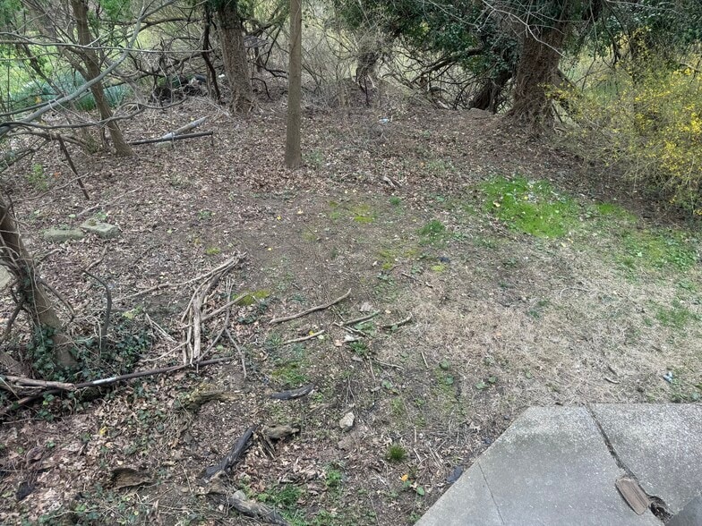 Building Photo - 210 Locust Ave