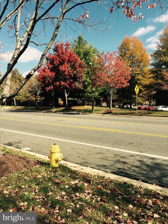 Building Photo - 2701 Summers Ridge Dr