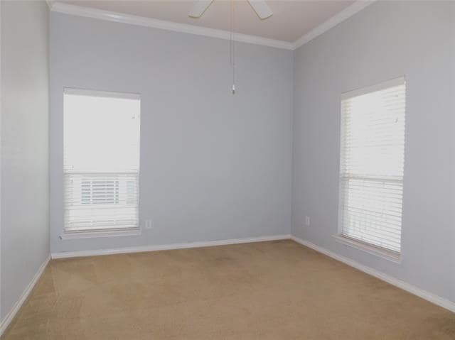 Building Photo - 1104 Hayden Ln