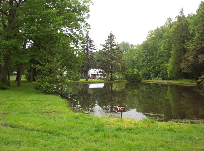 Building Photo - 22 Dosch Ln