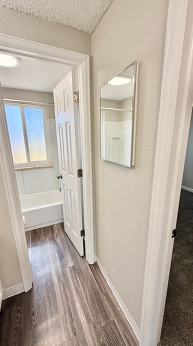 Screenshot 2026-02-26 124339 - Monte Vista