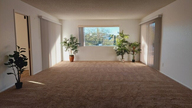 Main entry in to living room - 5161 E Camino Bosque