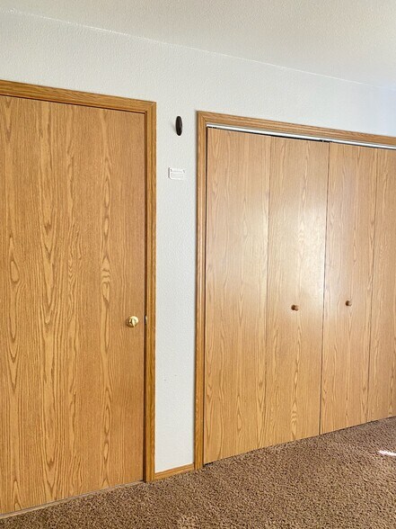 Master bedroom closet and furnac - 1415 E Maple St