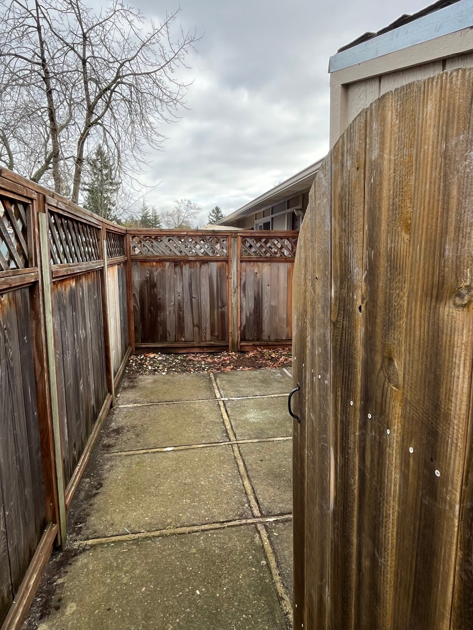 Back patio - 65 NE 19th St