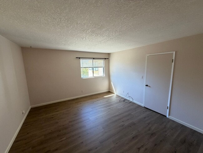 Building Photo - 428 Cabo San Jose