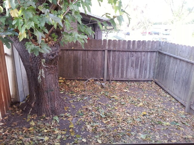 Back yard - 621 E Yorkshire Dr