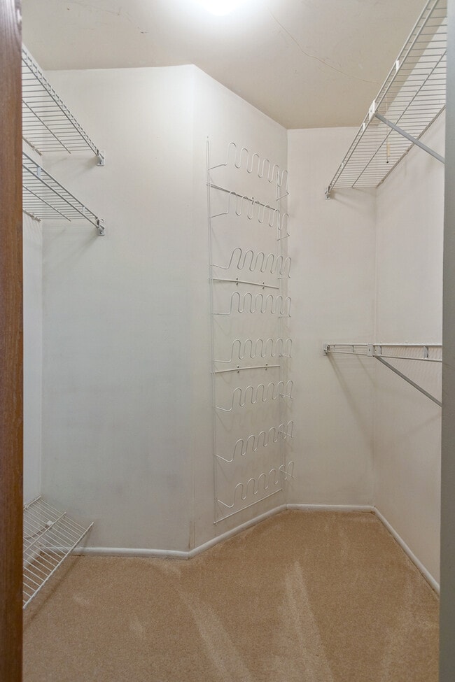 Building Photo - 164 White Branch Ct