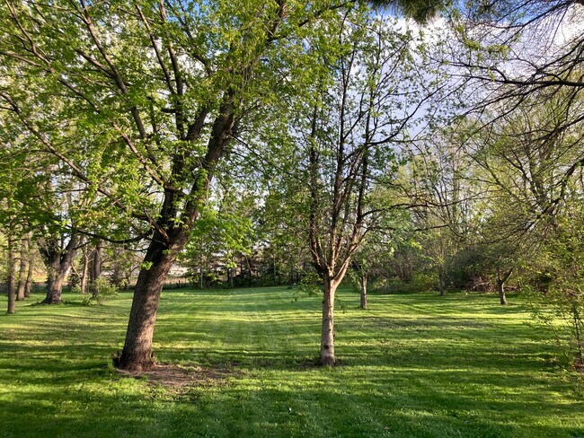 Building Photo - 1525 Gorton Ave NW