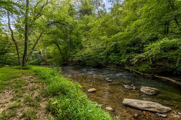 Building Photo - 1519 Tipton Springs Rd