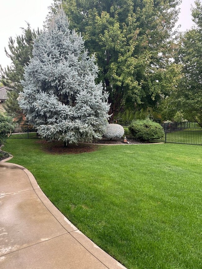 Building Photo - Exquisite Corrente Bello Home in Eagle