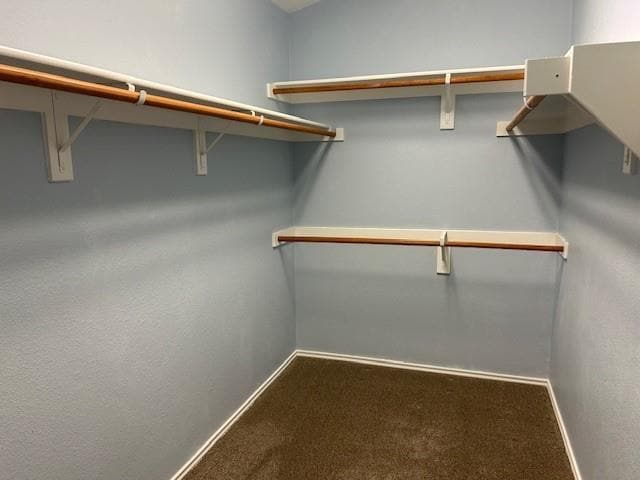 Building Photo - 6013 Marsh Rail Dr