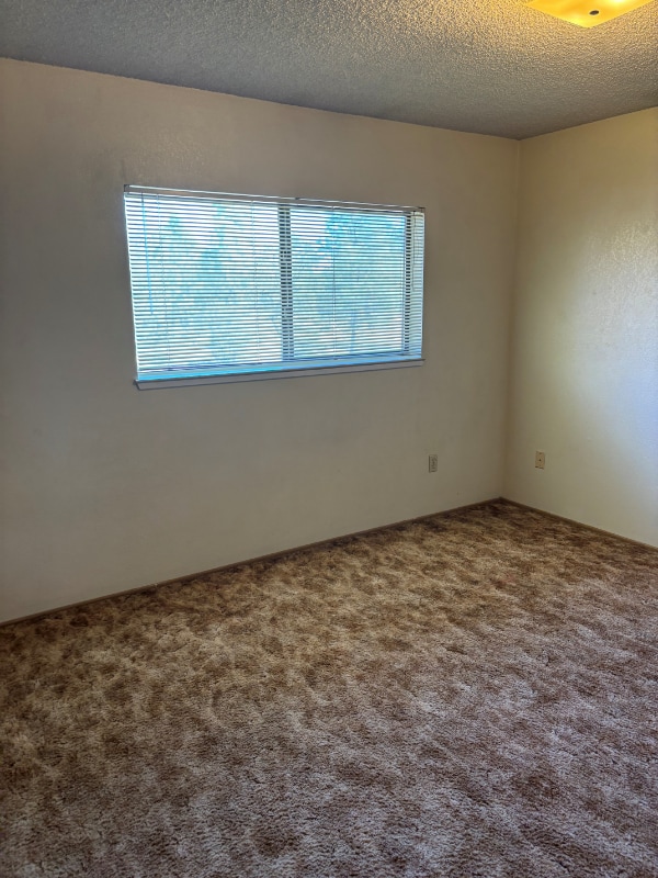 Building Photo - 2508 Sabre Ct