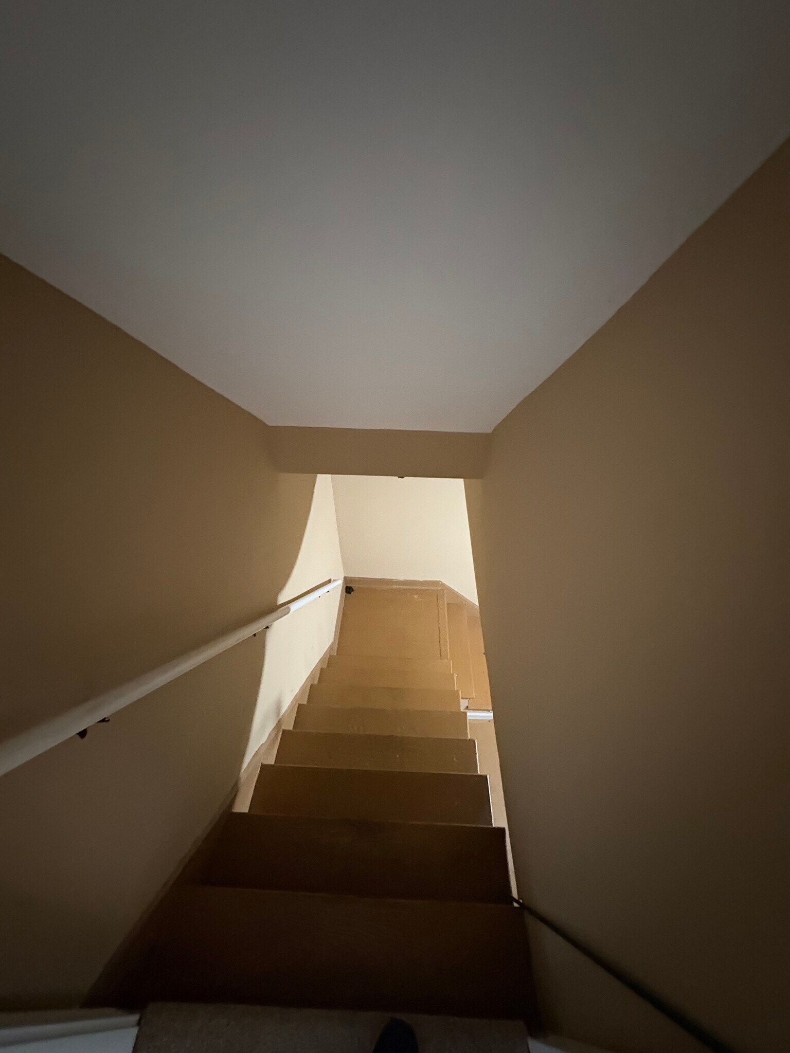 Stairwell to Basement - 1924 N Talbott St