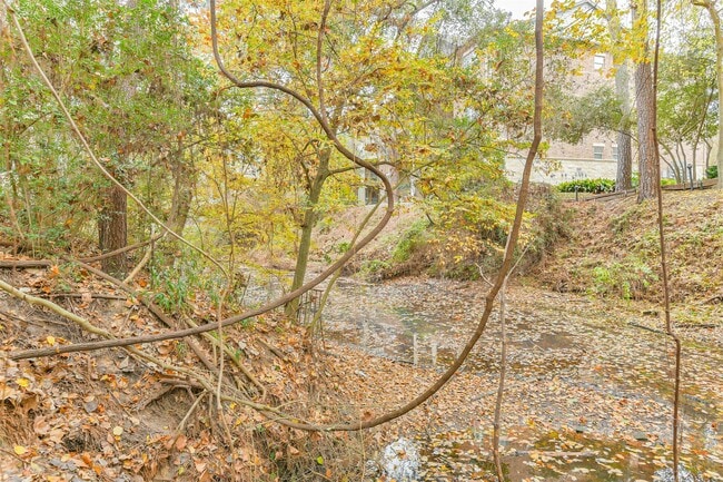 Building Photo - 12636 Briar Patch Dr