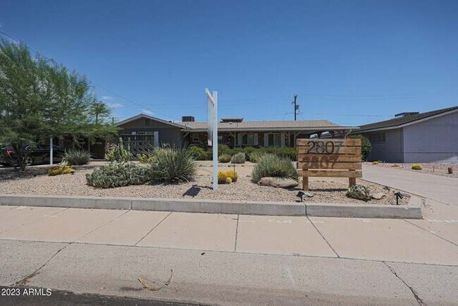 Building Photo - BEAUTIFUL Scottsdale Home