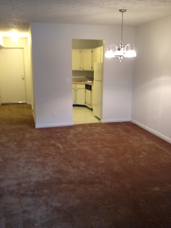 Primary Photo - 5 Bassett St