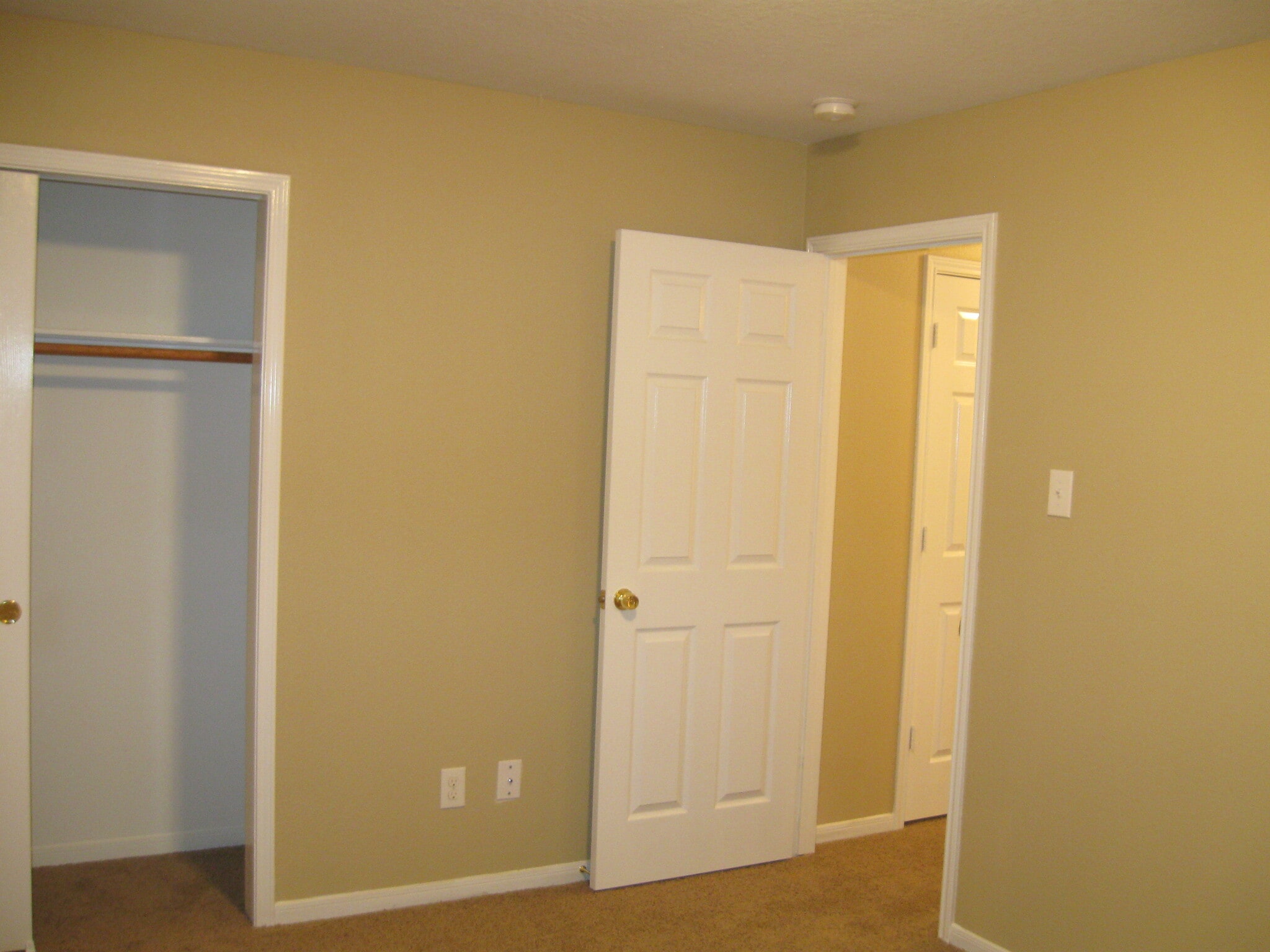 Building Photo - 4807 Dappled Grove Trail