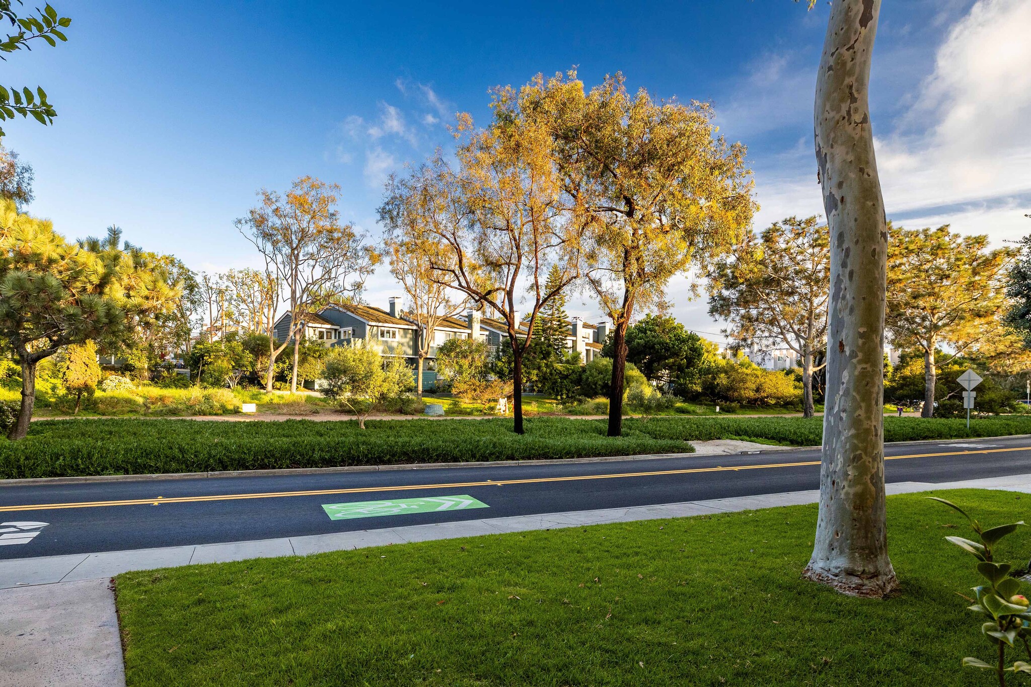 Building Photo - 255 Valley Dr