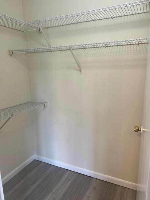 Building Photo - 4879 Via Palm Lakes