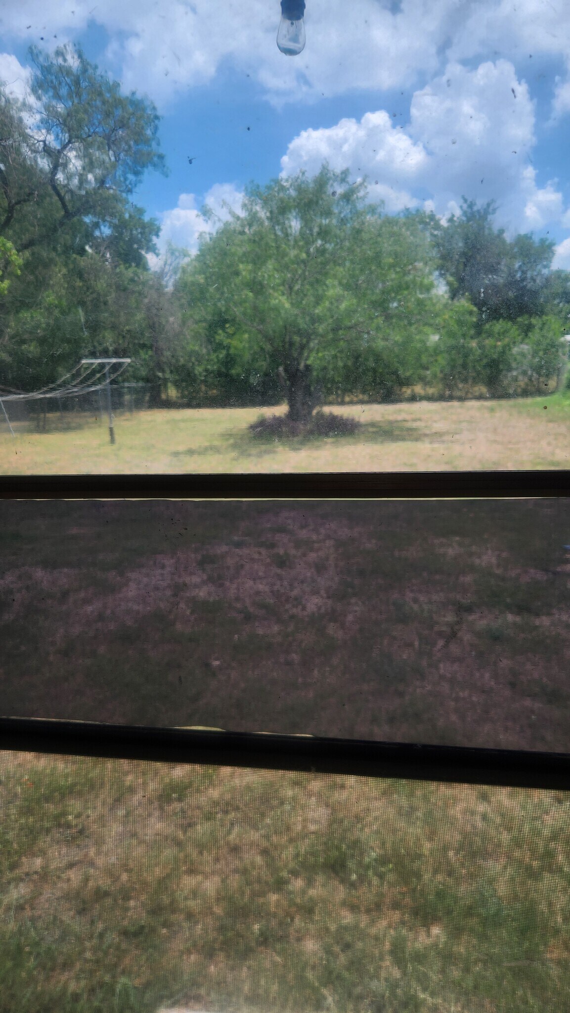 Building Photo - 3374 J St