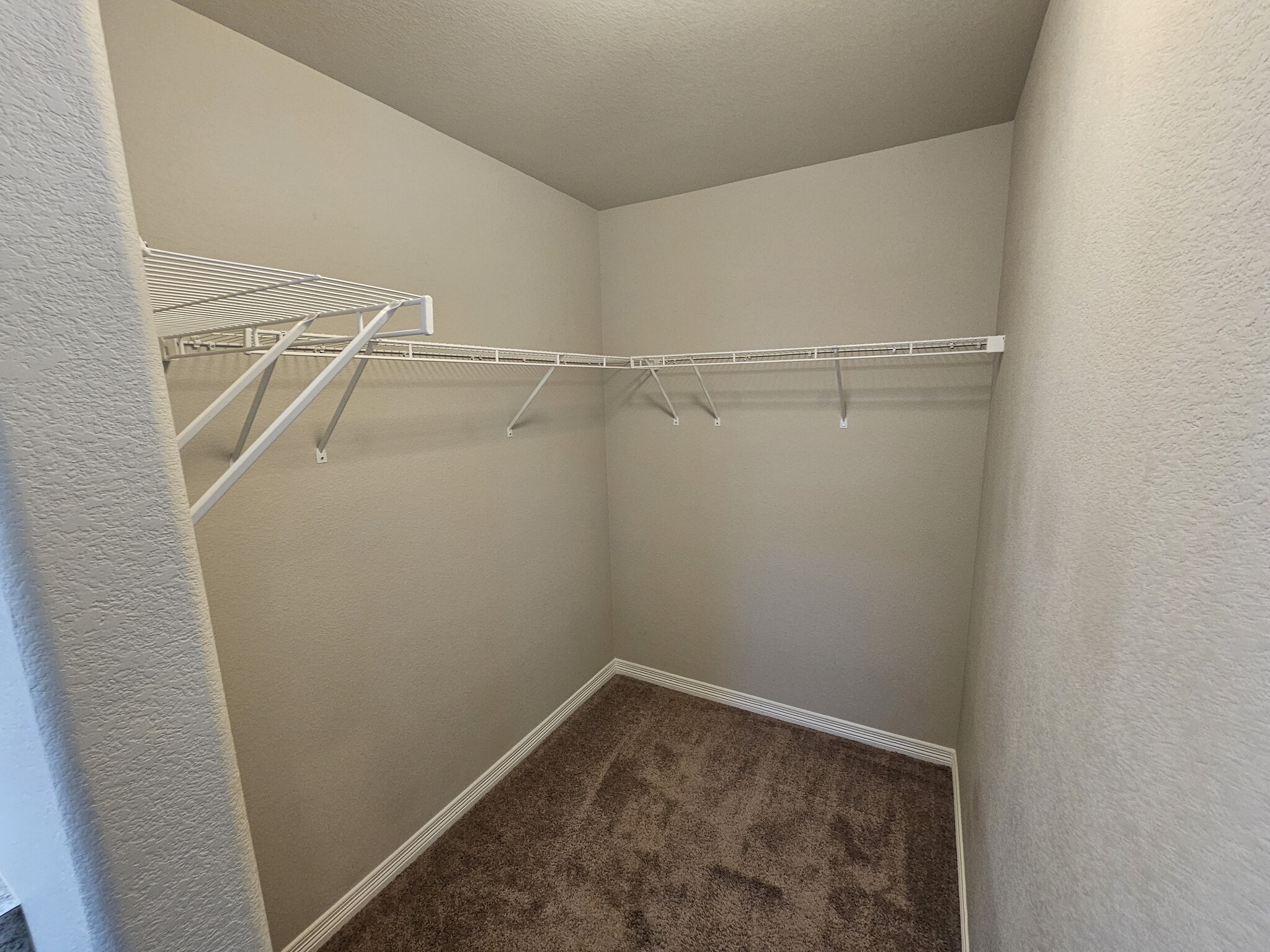 Building Photo - 9996 Castor Dr