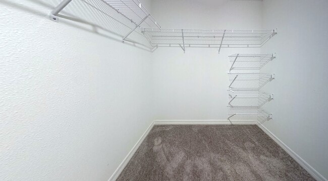 Building Photo - 376 Rain Berry Ave