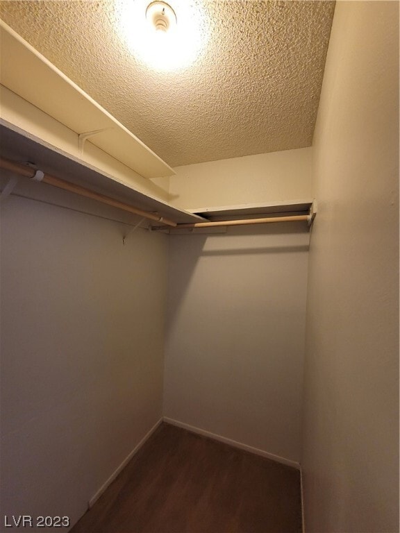 Building Photo - 241 Misty Isle Ln