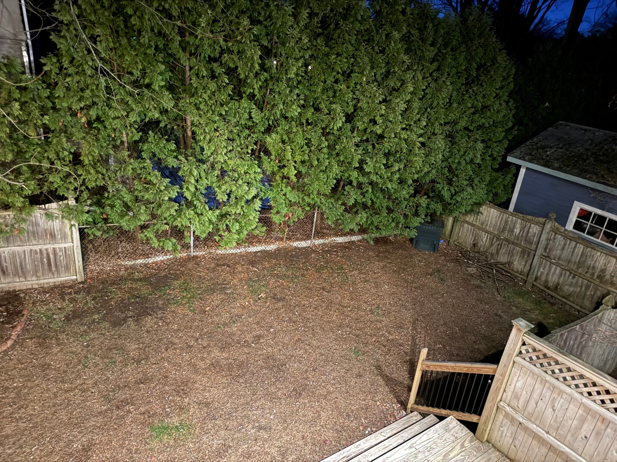 Backyard - 274 Prospect St