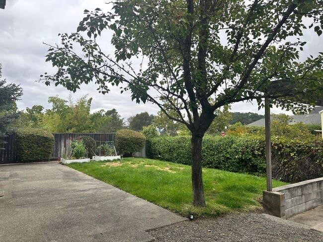 Building Photo - 1708 Spur Ridge Ln