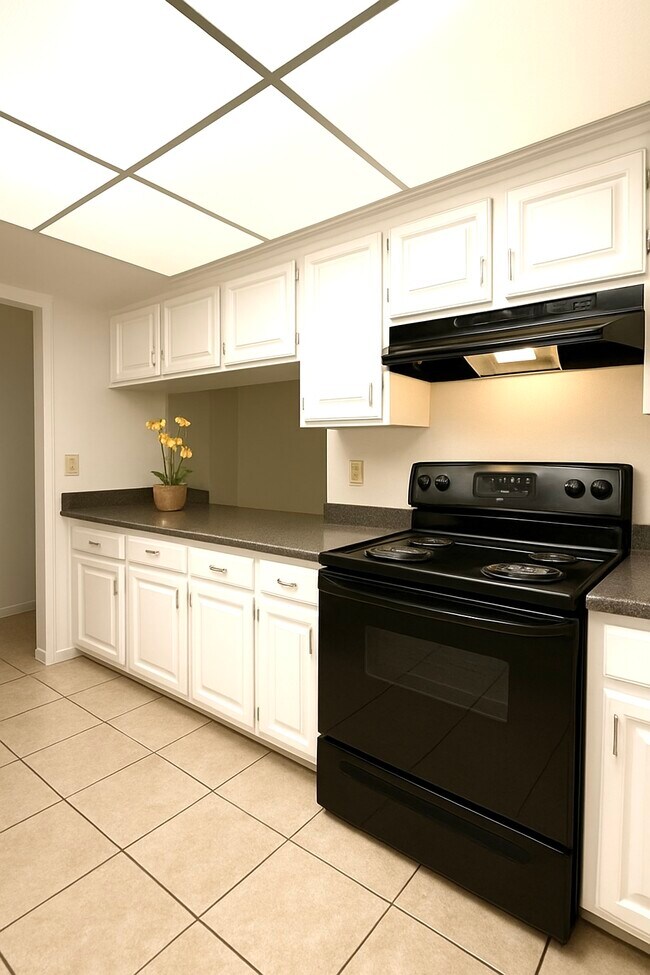 Building Photo - 411 Banana Cay Dr