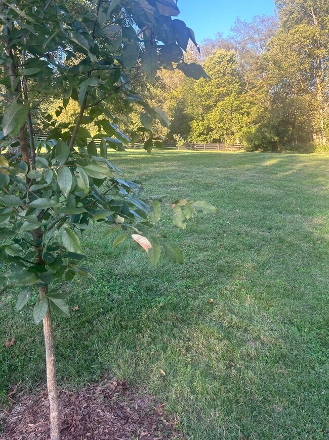 Building Photo - 409 Lawson Dr