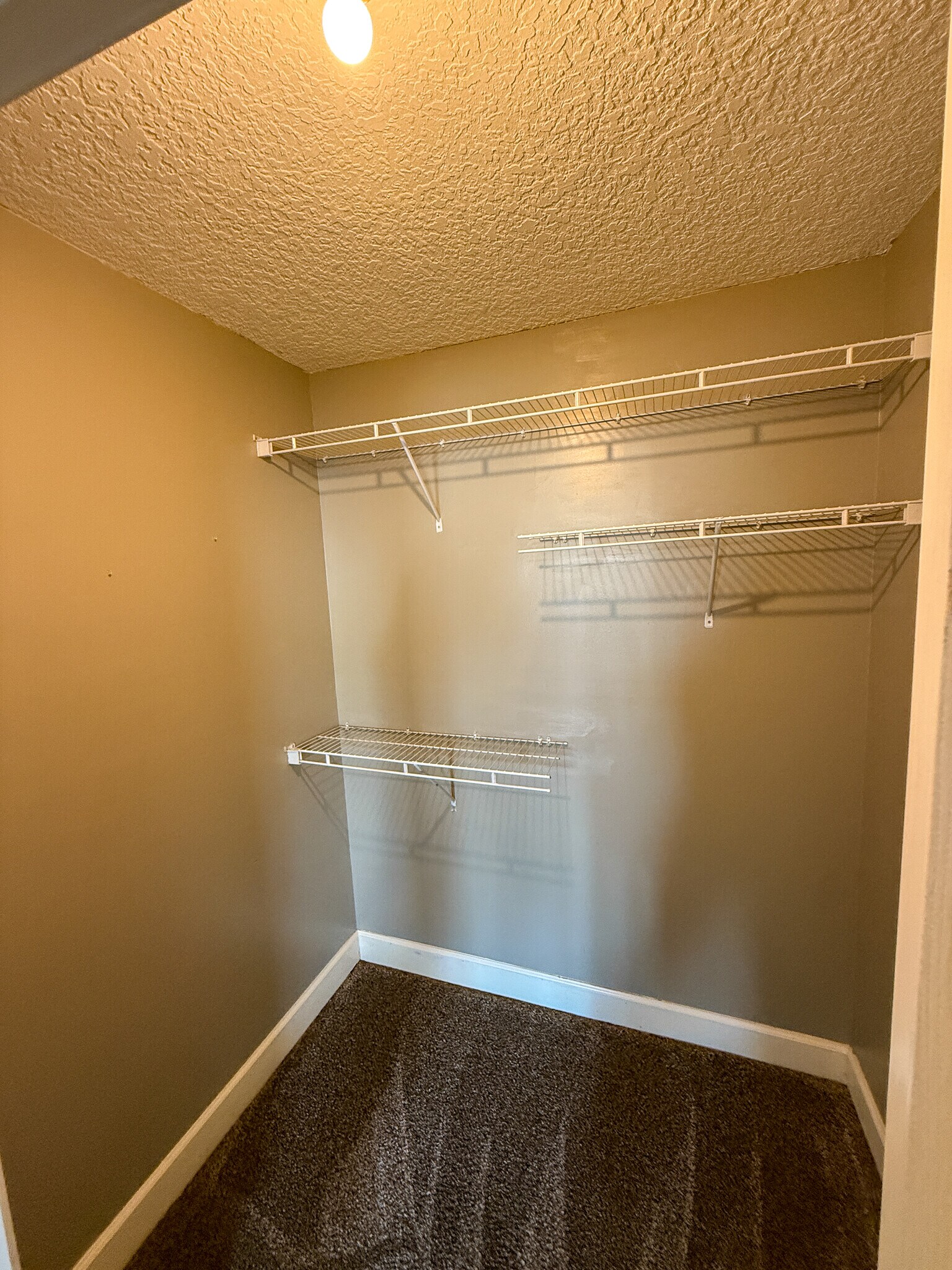 Building Photo - 210 Lantana Ct